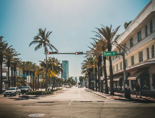 A sunny street lined with palm trees and pastel buildings, hanging bridges, and a clear blue sky.