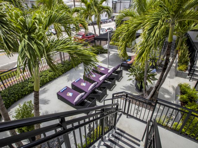 A view of the hotel's outdoor pool area with lounge chairs and palm trees.